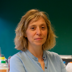 Dr Julia García, Scientific Director IGTP
